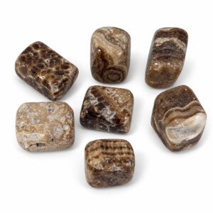 Aragonita Marrón, Piedras Pulidas ±2-3 cm