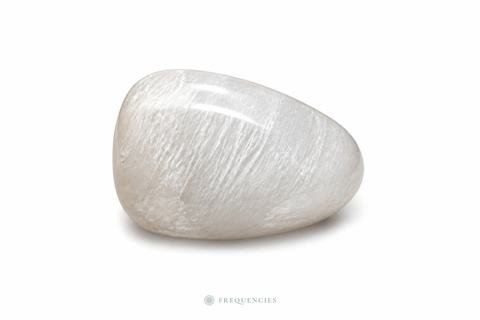 Skolecīts